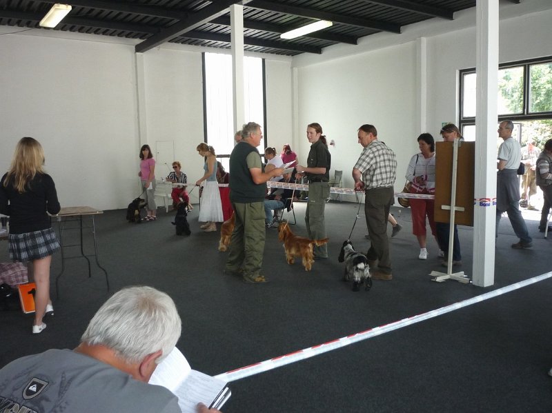 Litomerice 2009 064.jpg